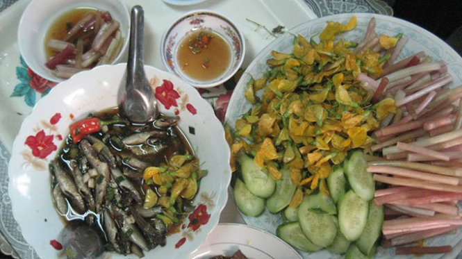 [-]Ngây[-]ngất[-]mùa[-]hoa[-]súng[-]miền[-]Tây